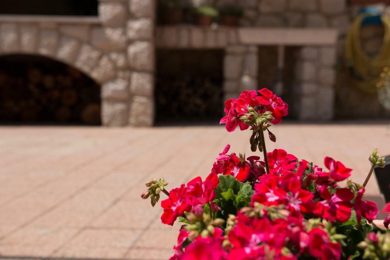 קרס Apartments Eva מראה חיצוני תמונה